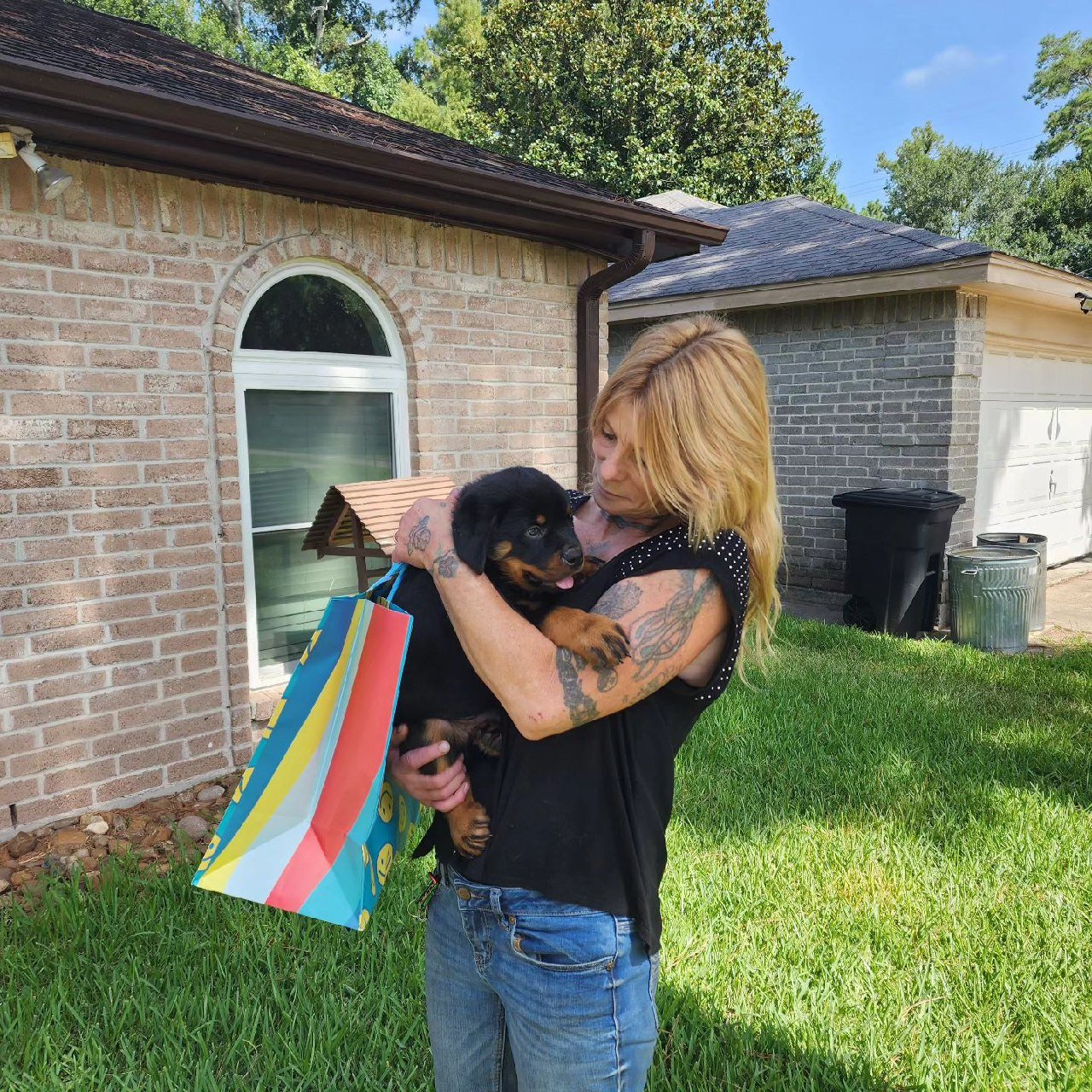 rottweiler puppies for sale under $1000