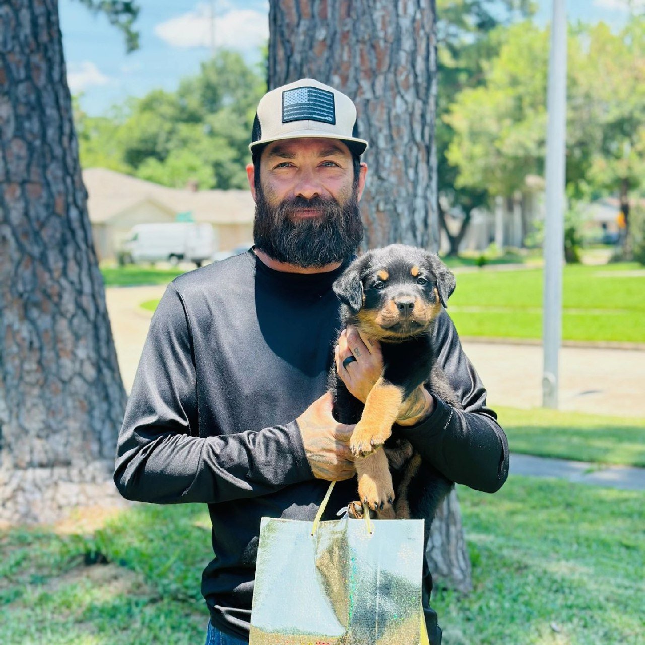 reserve rottie puppy usa